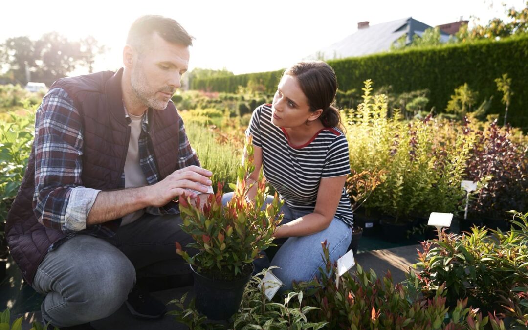 Tendance 2024 : Quel style choisir pour son jardin ?